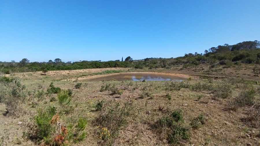 Commercial Property for Sale in Bathurst Rural Eastern Cape